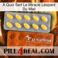 À Quoi Sert Le Miracle Léopard Du Miel 42